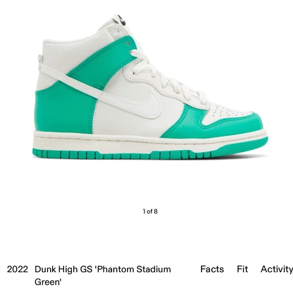 Nike Shoes - Nike Dunks High